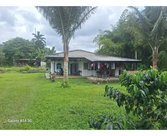 Venta Finca Circasia Quindio - Colombia Cod: 8437375
