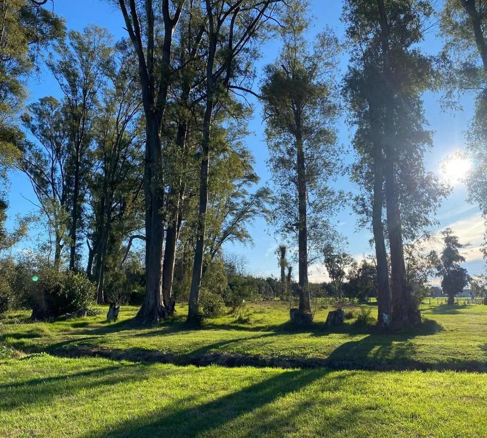 Lot for Sale in Mercedes with Development Potential