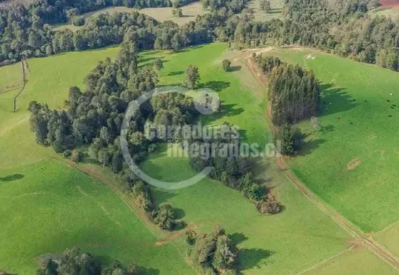 Parcela En Venta En Los Muermos Puerto Varas