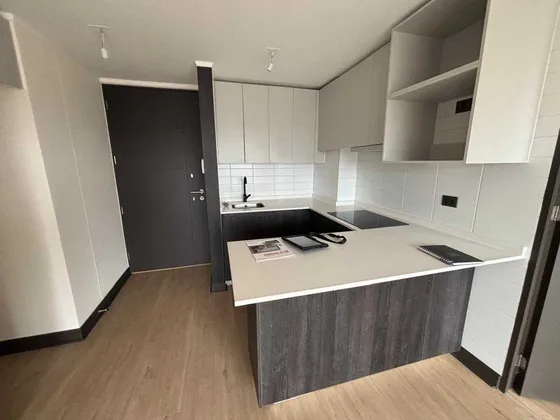 Arriendo Depto. Nuevo A Estrenar 2d+2b (99129)
