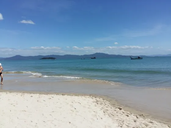 Disfrute Floripa Todo El Año Apto Playa, A 60 Metros Del Mar