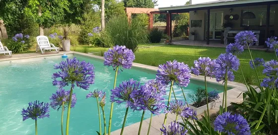 Alquiler Casa Quinta En Chascomus 
