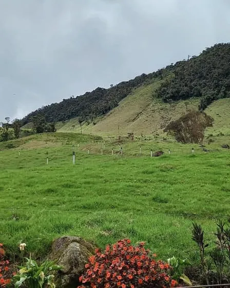 Terreno En Pregonero En Venta 