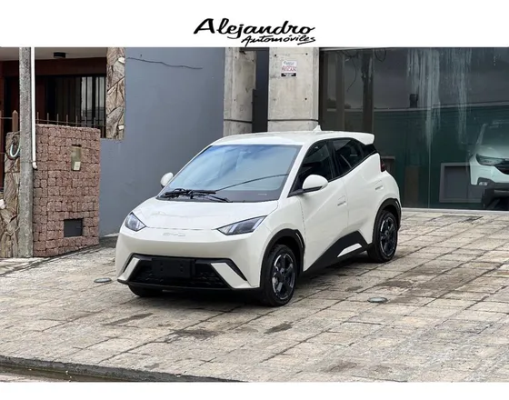 Byd Seagull 0.0 Ev 300