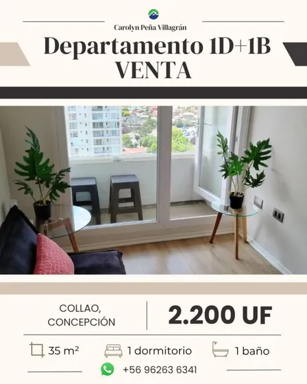 Departamento 1 Dormitorio Amoblado, Collao Concepción