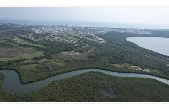 Hectáreas En Venta Atras De Punta Tiburon , Alvarado, Veracruz. Entrada Paso Servidumbre Por Punta Tiburón