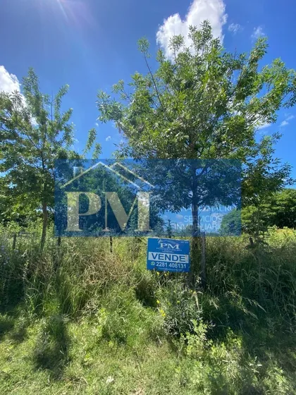 2 Hectáreas En Venta, Tapalqué 