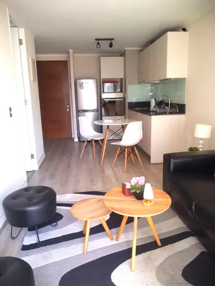 Lindo Departamento A Pasos Metro Santa Lucia