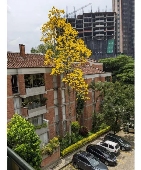 Apartamento En Venta En El Sector De San Diego