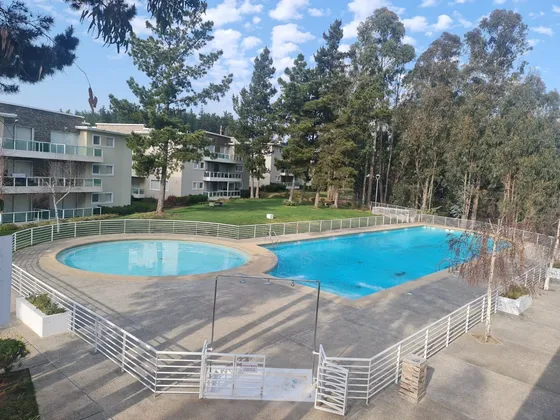 Departamento Amoblado Año Corrido En Algarrobo Incl. Ggcc