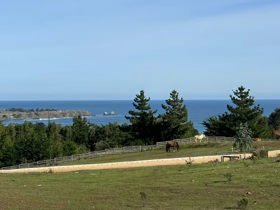 Terreno Con Vista A Punta De Lobos