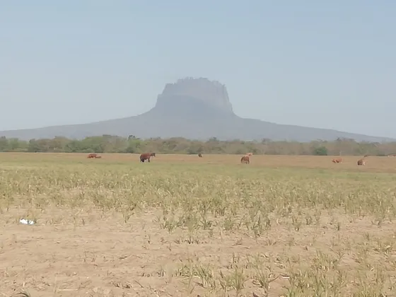 Rancho En Venta  González, Tamaulipas