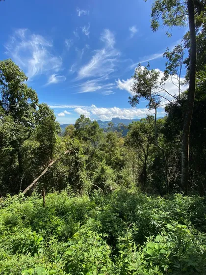 Campos Do Jordão - Jardim Imperial - 1.233m2