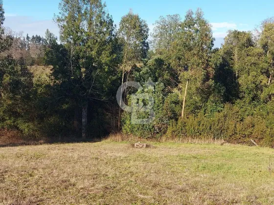 Gran Refugio Rodeado De Tranquilad A 25 Min De Osorno