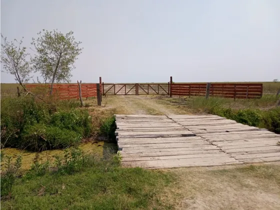 Alquiler Campo Santiago Del Estero 800 Y 1100 Hectareas Ganadero