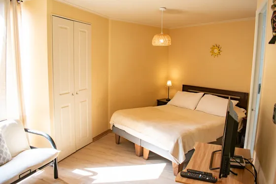 Arriendo Depto Amoblado Studio - Mosqueto (5288)