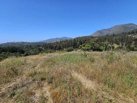 Vendo Terreno En Mantagua De 5.000m2.