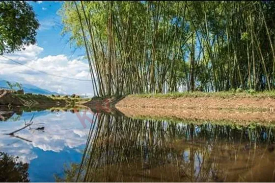 En Venta Lote En Jamundi, Valle Del Cauca