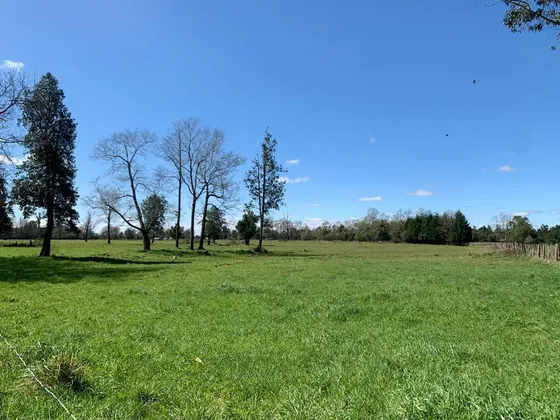 Agrícola En Cunco