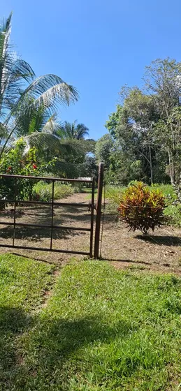 Yenny Remate 46h  Finca En Carabobo. Sector Palmarote Barrer