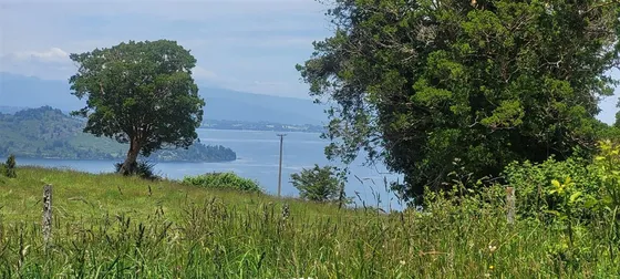 Parcela En Venta En Río Bueno