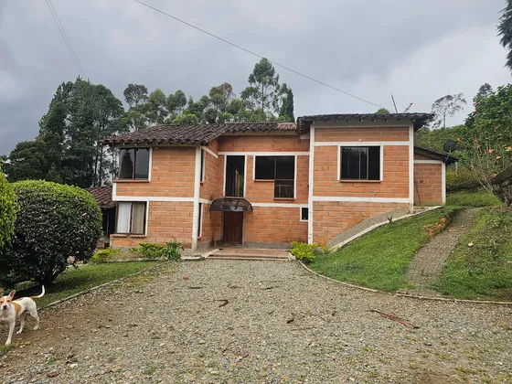 Venta De Finca En Guarne - Vereda La Clara Parte Baja