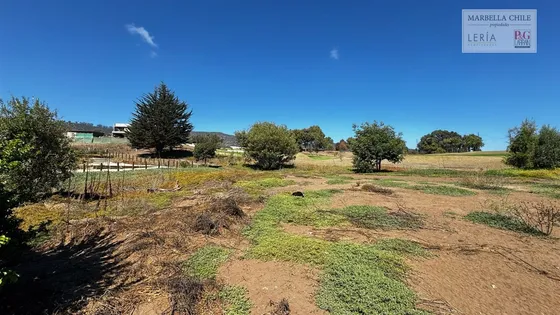 Sitio En Venta En Puchuncaví