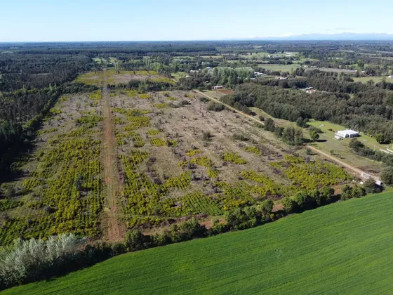 Exclusivas Parcelas De 5.000m2. Rol Propio, Luz Y Caminos