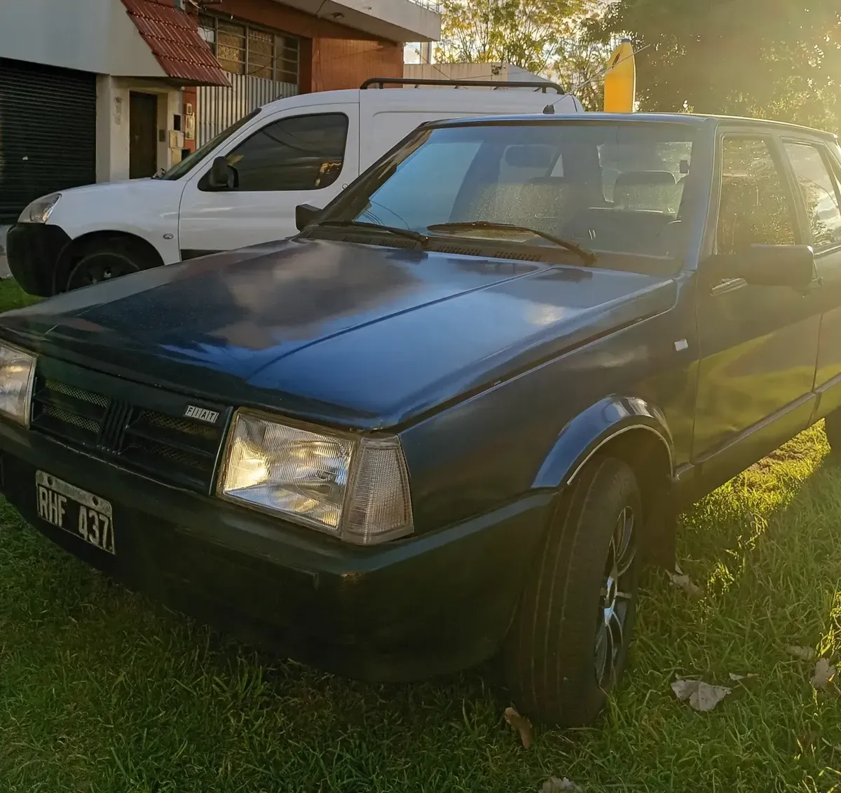 Fiat Regatta529850898496235521