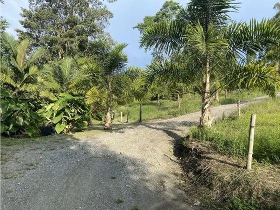 Venta De Lote En El Arenillo, Manizales | Lotes Campetres En Venta