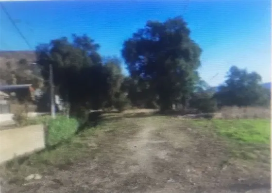 Sitio En Venta En Calera