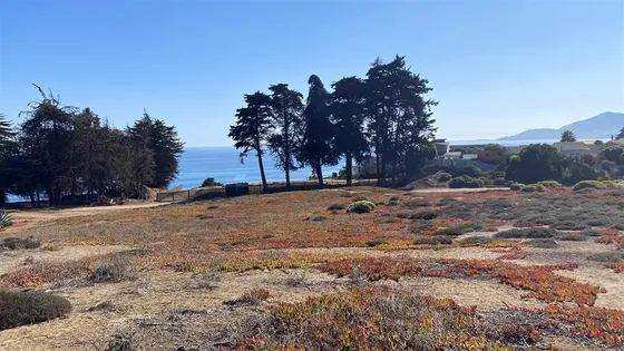 Sitio En Venta En Maitencillo, Puchuncaví