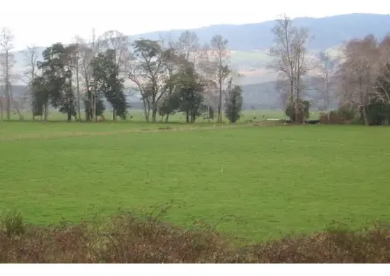 Agrícola En Venta En Panguipulli