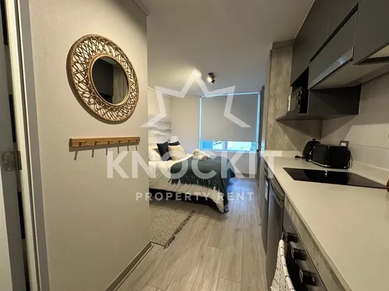 Arriendo Departamento Home Studio Amoblado Tocornal Santiago