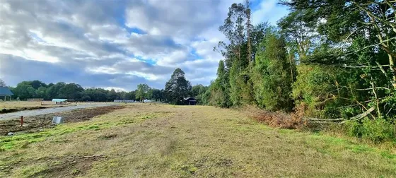 Preciosa Parcela Sector Pichilaguna, En Venta En Llanquihue