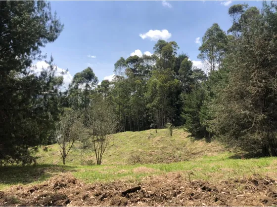 Se Vende Lote En La Ceja Antioquia  13.382 M2. Sector El Capiro