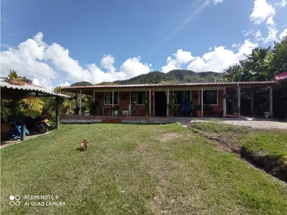 Venta Finca Entre Santo Domingo Y Alejandría.