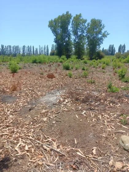 Parcela 5000 M2 Con Amplia Casa En Colbún- Linares