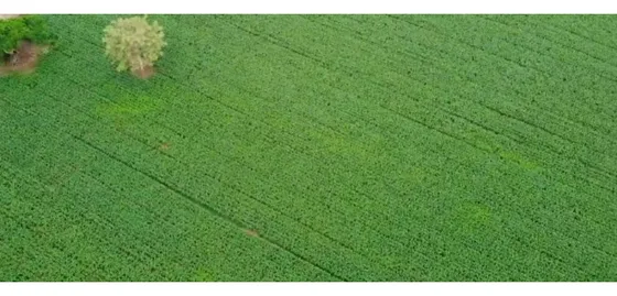 Vendo Finca En Momil Cordoba Monteria