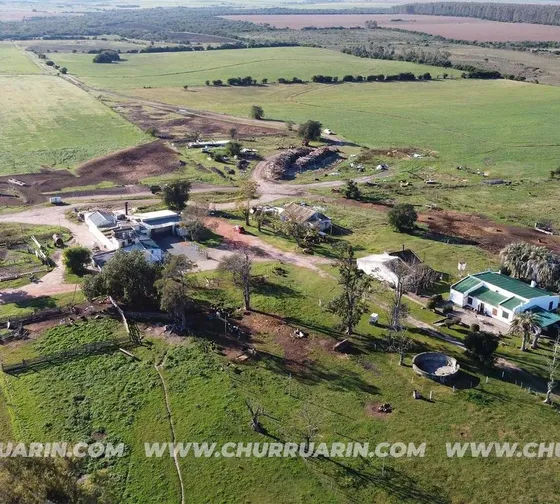 147 Has Agricolas Uruguay