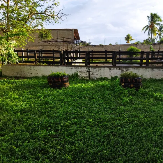 Vc Vende Terreno 10,3 Hectáreas Cocorote San Felipe Yaracuy 