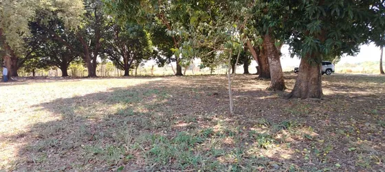 Venta De Terreno En Colonia Insurgentes Por Reclusorio En Tuxtepec Oaxaca.
