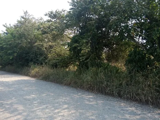 Vendo Terreno 15,000 M² Juana Moza Tuxpan Veracruz