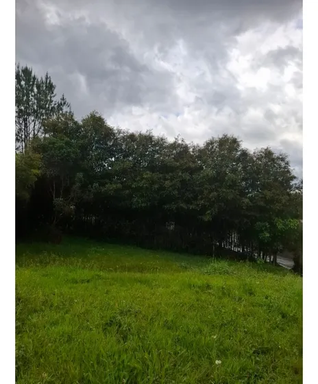 Rhbr-14609 (lote) (el Retiro, Martin Pescador)