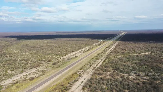 Se Vende Campo Ganadero De 3500 Ha En Mendoza, Argentina