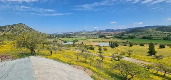 Gran Parcela Con Casa En Pencahue, Talca