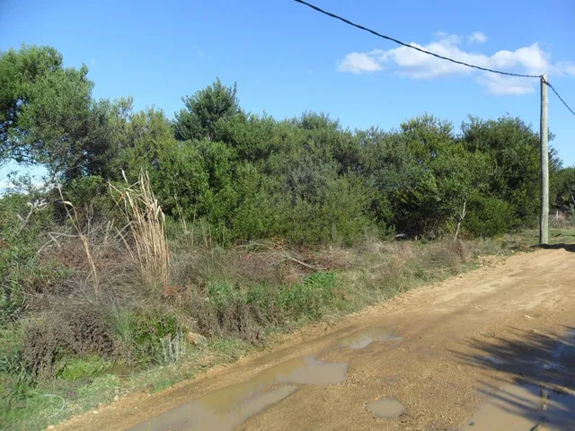 Terreno En Venta - 417mts2 - Punta Rubia