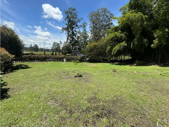 Vendo Lote En Rionegro Llano Grande 3.650 M2 Parcelacion