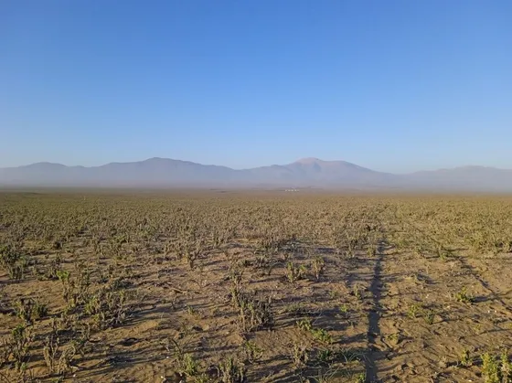 Terreno Cercano A Punta De Choros 5.000m2