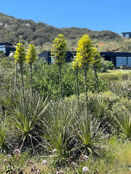 Sitio Con Vista Al Mar En Venta Rocas Del Mar, Los Molles.